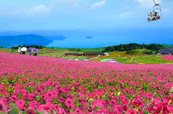 びわこ箱館山