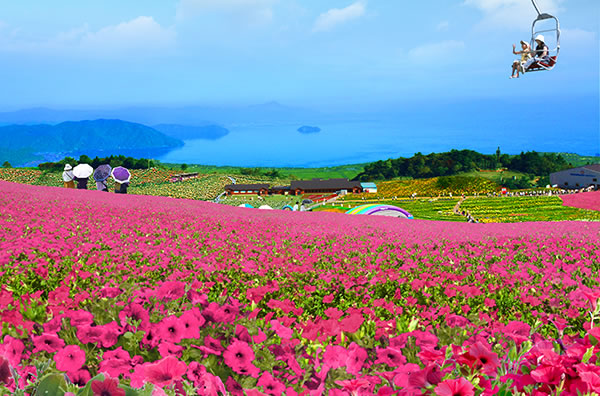 びわこ箱館山