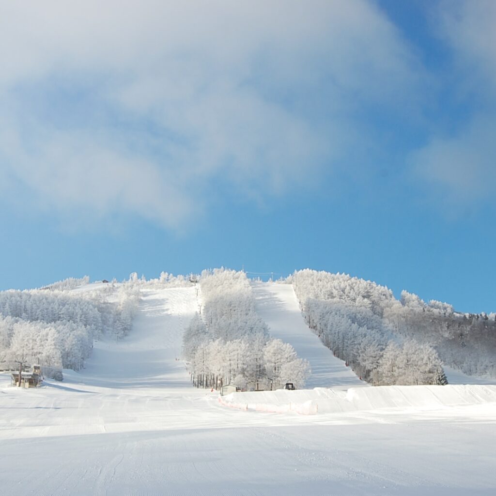真のリゾート再生：世界に誇る日本のスノーリゾート価値を最大化させ、ウィンタースポーツ文化を未来へつなぐ真のリゾート再生の使命